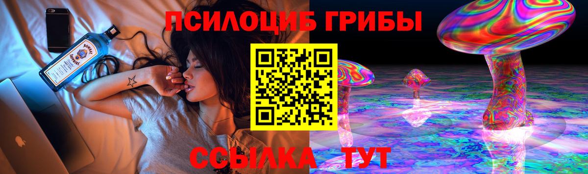 Дубна  Псилоцибиновые грибы ЛСД  Вход с VPN  Псилоцибиновые грибы Cubensis 