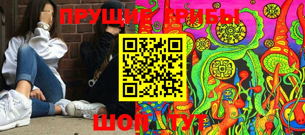 Псилоцибиновые грибы мицелий Дубна