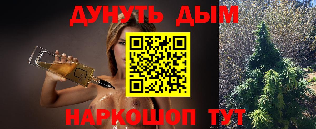 Конопля сатива Дубна